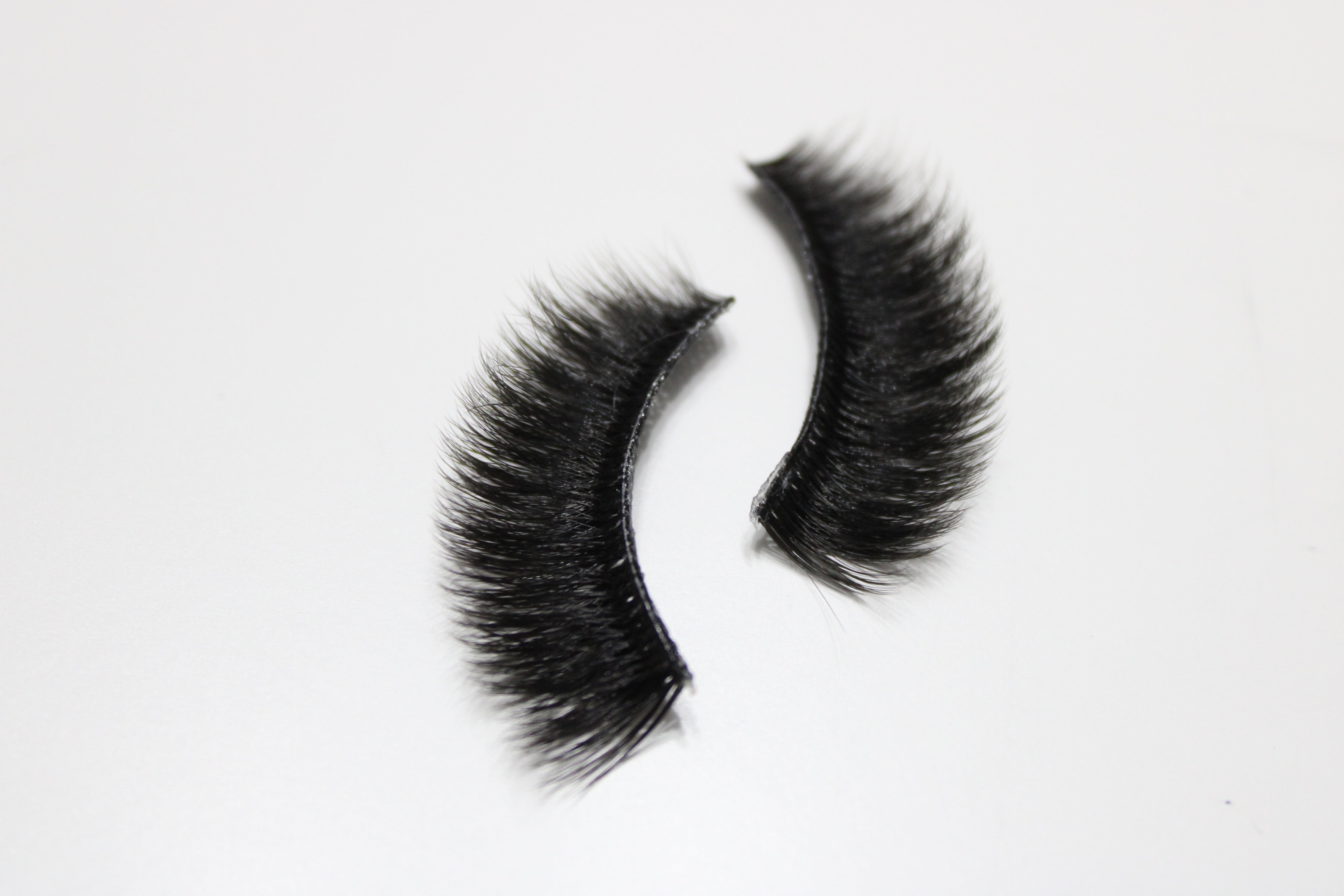 FLUTTER DGM Beauty flutter-dgm-beauty